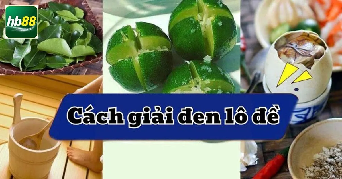 Tổng Hợp Các Cách Giải Đen Lô Đề Hiệu Quả Mà Đơn Giản 2 Các cách giải vận đen lô đề hiệu quả mà đơn giản
