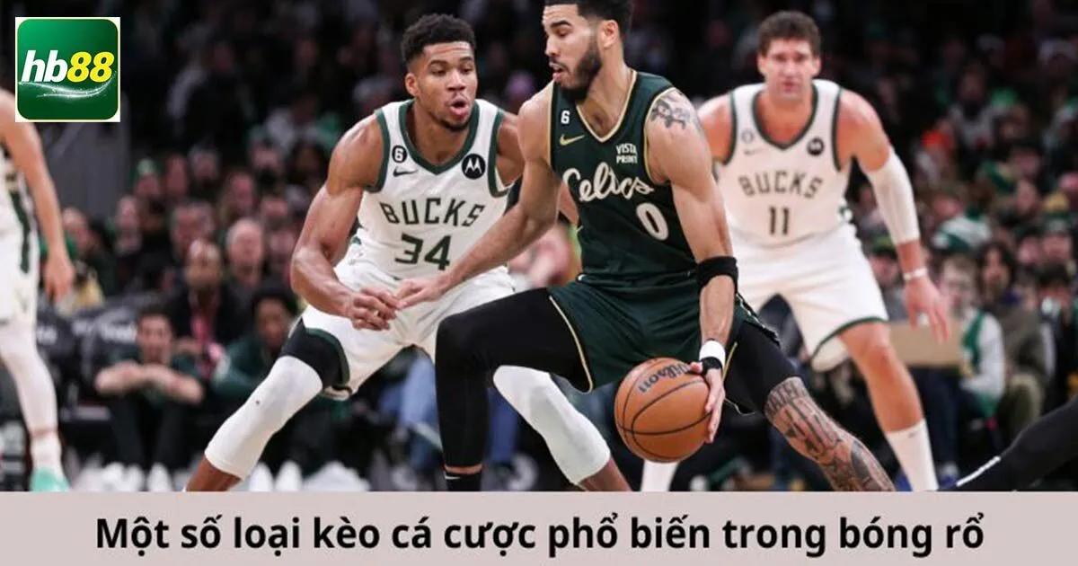 Gợi ý địa chỉ uy tín để tham gia cá cược bóng rổ